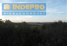 Widok z tarasu