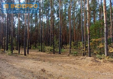 Widok działki od strony północno-wschodniej.