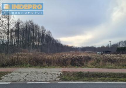 Działka