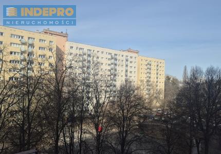 widok z okna