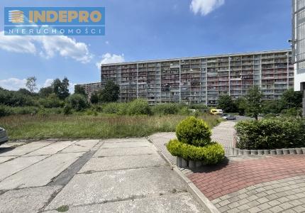 Widok z tyłu terenu 